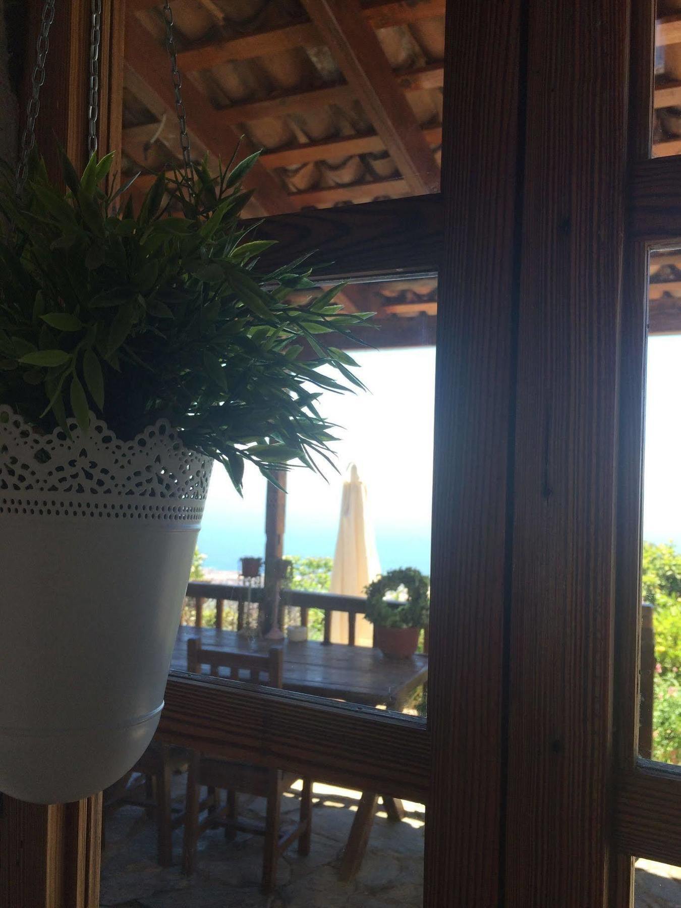 Casa Rural Tajona & Granero Costa Adeje Dış mekan fotoğraf